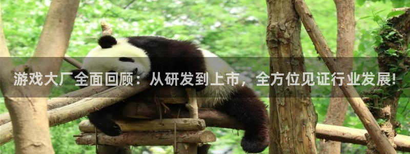 赢咖娱乐平台登录入口：游戏大厂全面回顾：从研发到上市，全方位