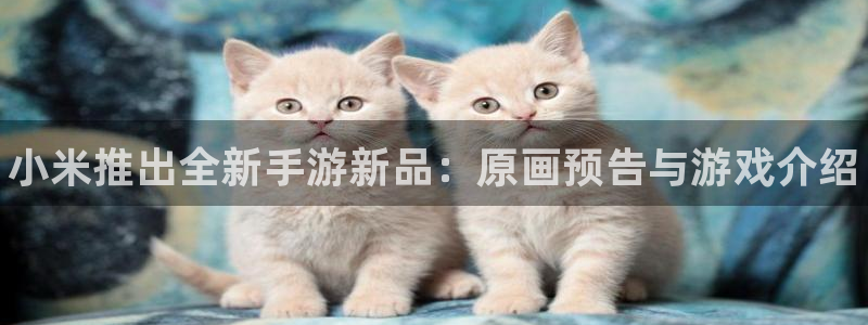 赢咖娱乐娱乐：小米推出全新手游新品：原画预告与游戏介绍