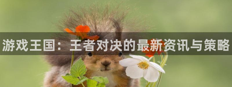 手机版赢咖娱乐客户端下载：游戏王国：王者对决的最新资讯与策略