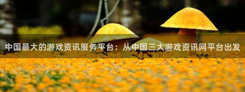 赢咖娱乐登陆：中国最大的游戏资讯服务平台：从中国三大游戏资讯