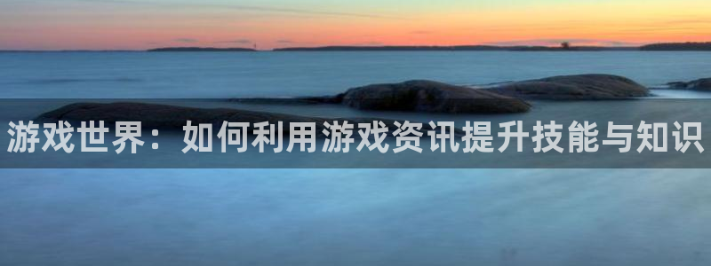赢咖娱乐平台注册资金多少：游戏世界：如何利用游戏资讯提升技能