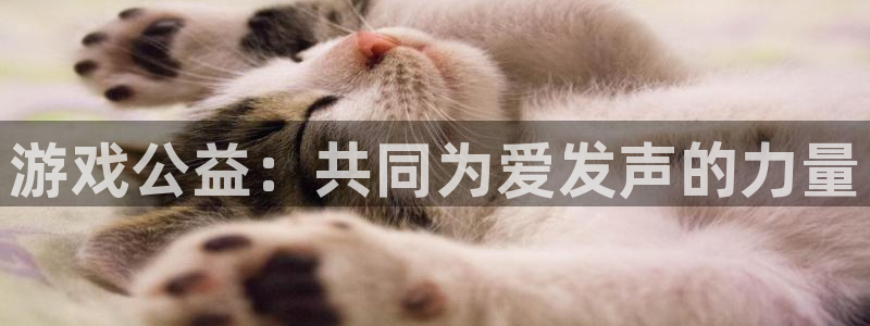 赢咖娱乐平台登陆：游戏公益：共同为爱发声的力量