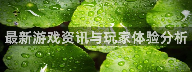 赢咖娱乐开户测速：最新游戏资讯与玩家体验分析