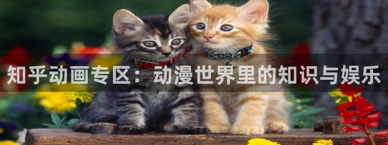 赢咖娱乐网页版地址