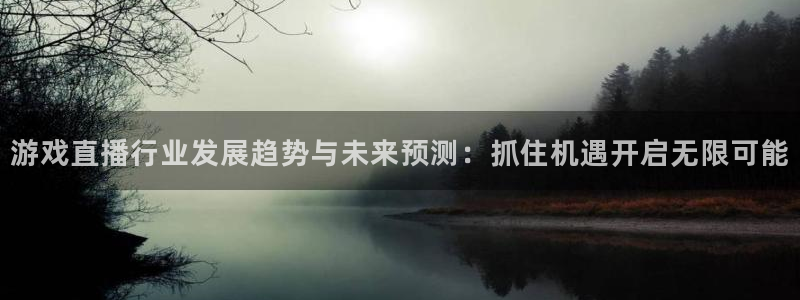 赢咖娱乐Ii：游戏直播行业发展趋势与未来预测：抓住机遇开启无
