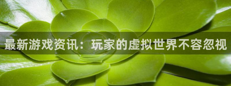 赢咖娱乐登录：最新游戏资讯：玩家的虚拟世界不容忽视