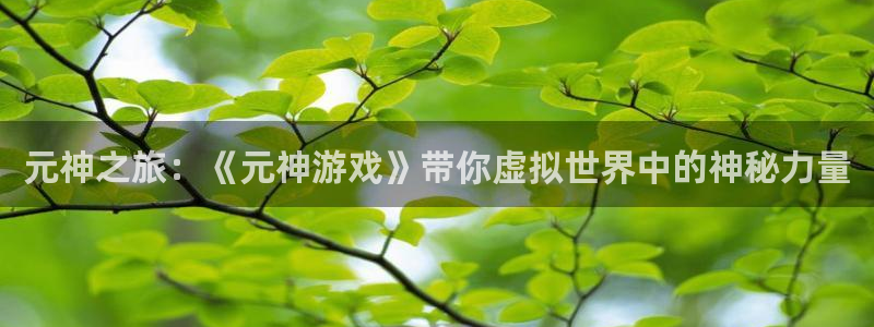 赢咖娱乐注册测速：元神之旅：《元神游戏》带你虚拟世界中的神秘